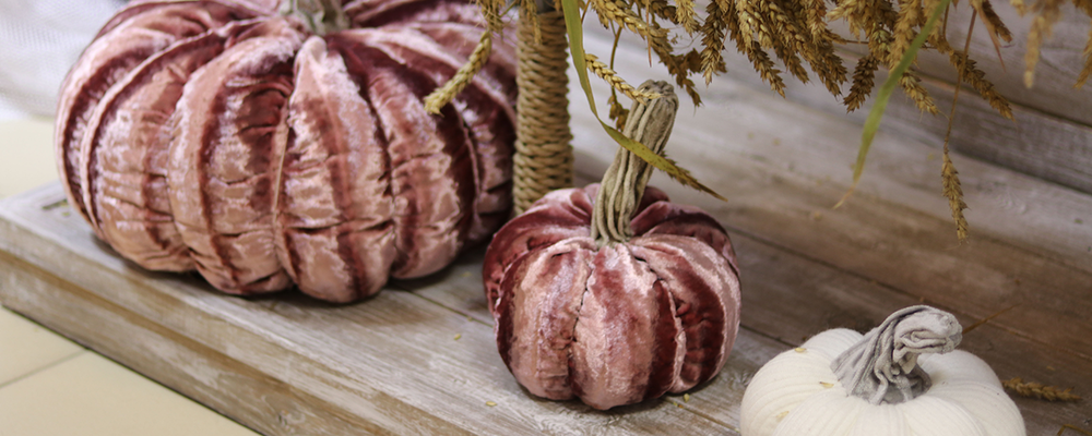 Velvet pumpkins for Thanksgiving decor