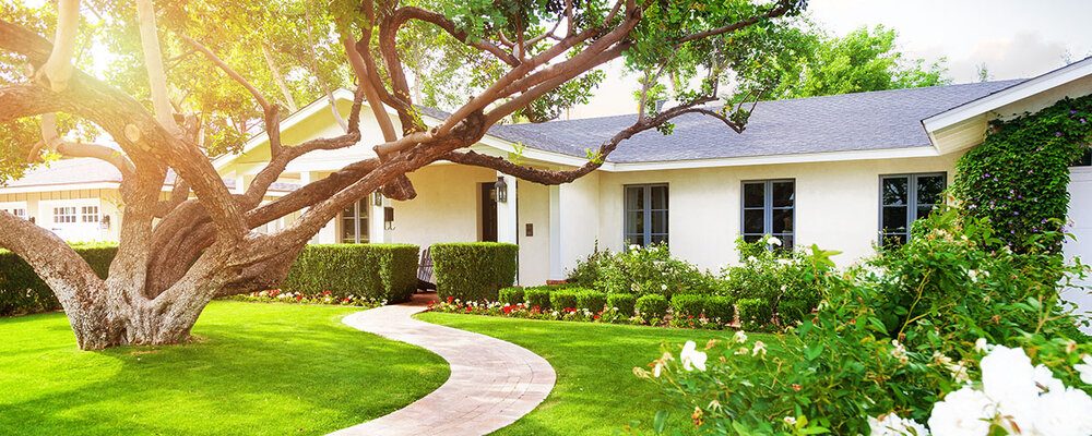 Trees for Energy-Efficient Home