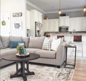 Grey Fusion Furniture sectional couch