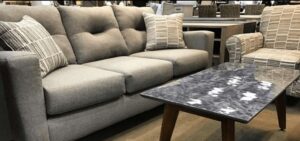 Fusion Furniture sofa and accent chair in retailer showroom