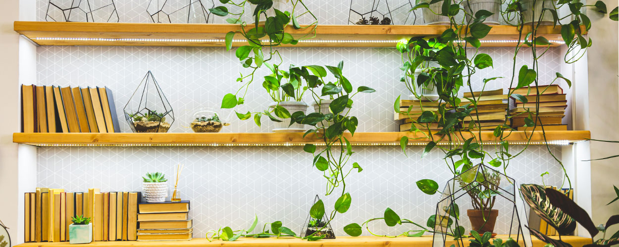 Floating wall shelf idea with plants