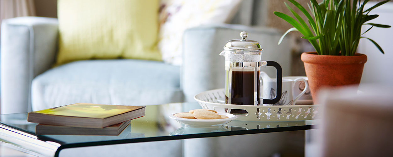 Coffee table with houseplant