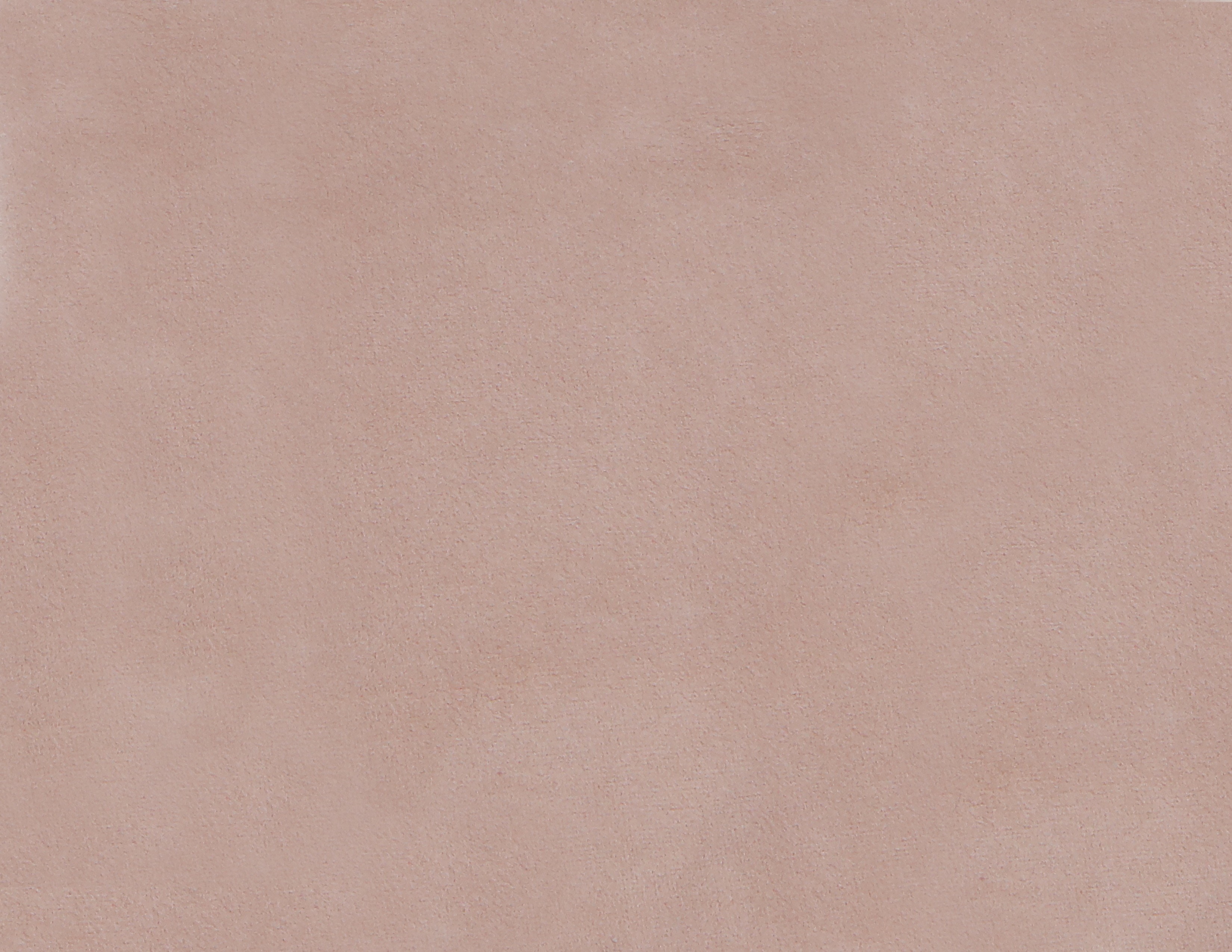 BELLA BLUSH